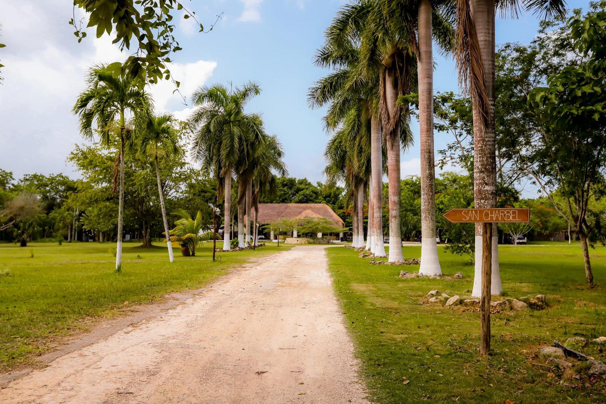 Mayan Secret Hotel Boutique Chetumal Exterior foto