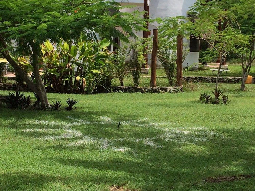 Mayan Secret Hotel Boutique Chetumal Exterior foto